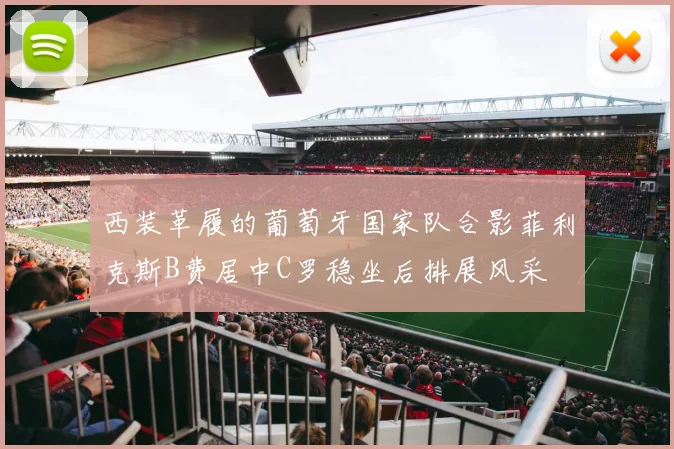 西装革履的葡萄牙国家队合影菲利克斯B费居中C罗稳坐后排展风采